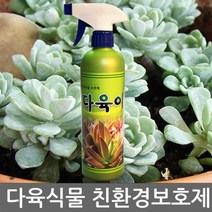 현wisdhm_다육이관리 식물 영양제 꽃영양제 도구 이도구 보호제 이영양제 이보호제♥cleang, ♥cleang!!