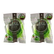 Edible Easter Basket Candy Grass Green Apple Pack of 2, 1