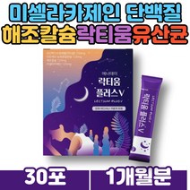 중년 여성 남성 식물성 해조칼슘 우유 단백질 락티움 타트체리 프랑스 인그레이다 LACTIUM 미셀라카제인 밀크 새콤달콤 타트체리 농축 주스 체리 분말 간편한 타먹는 스틱 섭취
