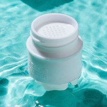 리얼워터 생수필터 미세플라스틱 제거, (5+5팩)=10개+무료배송