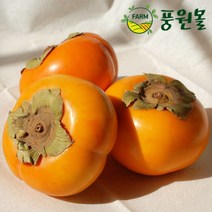 풍원영농조합법인 달콤한 경남 햇 단감 가정용흠과, 경남단감 흠과 사이즈 랜덤 5kg, 1박스