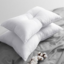달잠 빨아쓰는 경추 베개솜(지퍼형) 2p 3Size, 2개