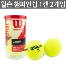 우야몰 윌슨 테니스공 챔피언십 2개입 1캔 시합구 공식구 테니스볼 테니스 경기 용품 2y, 1개
