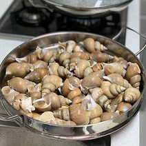푸드랍 백고동(소)1kg(30~50미내외), 단품