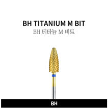 BH 비트 티타늄 M 글리터 하드젤 아크릴 연장 젤네일 쏙오프