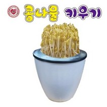 콩나물키우기(1인용)