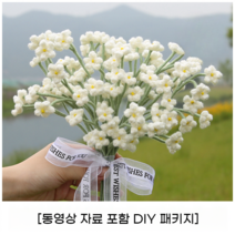 코바늘 사계절 손 뜨개질 DIY 취미키트 꽃 다발 태교 니트 왕초보 만들기 세트, 1 안개꽃 DIY패기지
