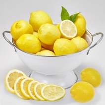 레몬120과40 인기 제품 할인 특가 리스트