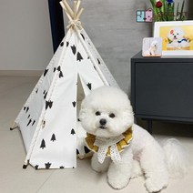강아지 고양이 포메라니안 비숑 프리제 러시안블루 먼치킨 애완동물 하우스 집 인디언텐트, 초록잎사귀