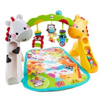 피셔프라이스 플레이 짐 아기체육관 매트 Fisher-Price Newborn-To-Toddler Play Gym With Music and Lights