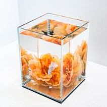 베타플라워 베타꽃침대[하늘하늘꽃침대], 오렌지