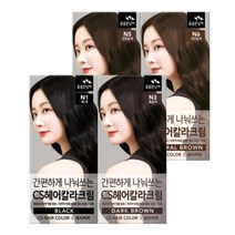 (무료배송)꽃을든남자 간편하게 나눠쓰는 CS 헤어 칼라 염색약, N5 진한갈색, 3개