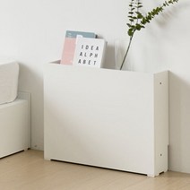 TB9906 테미스 틈새수납장 500(1P), 색상:화이트