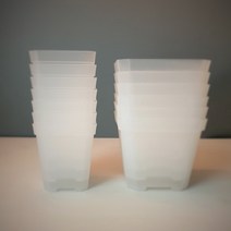 윙 7cm 10cm 사각 슬릿화분, 투명사각화분(10cm) 1개