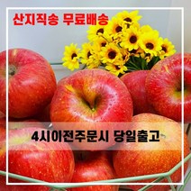 산지직송 햇사과 일품 꿀 부사 사과 충북 5kg 10kg 선물용 가정용, 선물용 정품 중과 34~38과