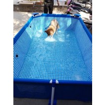 강아지수영장 접이식 애견 풀장 대형견 중형견 반려견 개풀장