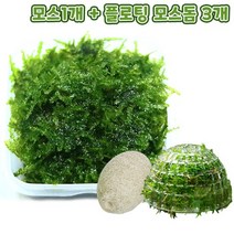 무결점 미니삼각 모스+플로팅 모스돔 3개 세트, 없음