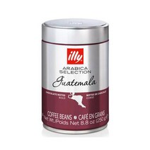 일리 아라비카 셀렉션 과테말라 커피 250g