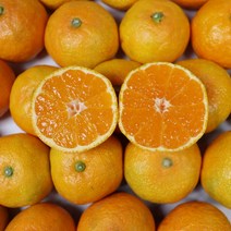 제주귤 산지직송 감귤 조생귤 하우스귤 하우스감귤 3kg 5kg, 1박스, 제주 하우스귤 선물용 5kg 중 42-57과