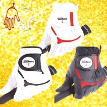 (타이틀리스트 재팬 최신 정품) 기능성 남성 골프장갑 - 2개 구매시 건조기 증정, [화이트] 25