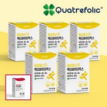 맛있는 비타민B 영양제 액티바이타믹스 여성 남성 어린이 청소년 멀티비타민 5BOX (5개월분), 액티바이타믹스 5BOX