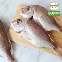 [여수직송] 자연산 반건조 참돔(중대특) 1미, 참돔(대) 1미