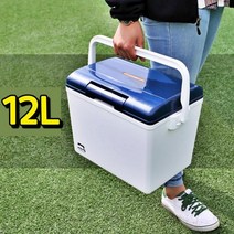 소형 휴대용 차량용 캠핑용 주꾸미 낚시용 아이스박스 12L 쿨러박스 초보조사 500마리
