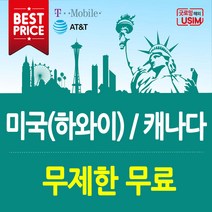 미국유심 T-Mobile AT&T 연장가능 무제한 데이터 통화 심카드 장기 유학생 미국유심칩, 1.T-Mobile(국제)플랜, 25일, 인천공항제2터미널