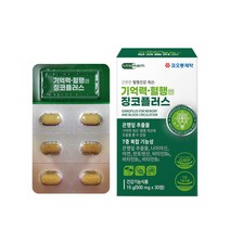 은행잎추출물 포스파티딜세린 기억력 뇌영양제 혈행 징코플러스 정 두뇌건강 플라보놀 배당체 비타민E, 1세트, 500mg x 30정