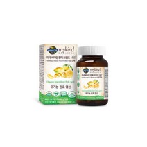 마이카인드 유기농 임산부 엽산 1354mg x 60정 2개월분, one option, one option