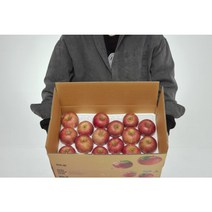 청년농부 못난이 부사사과 5KG, 5kg중과, 1개