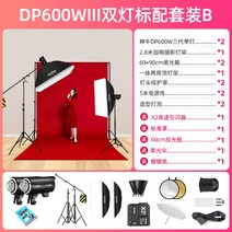 고독스 DP600III 3세대/4세대 카메라 라이트 플래시 600w 광고 촬영 스튜디오, 신우DP600 III3세대  쌍등 헤드라이트 세트 X2