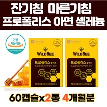 호주산 프로폴리스 60캡슐X2통 4개월분 잔기침 마른기침 간절기 면역력높이는영양제 아연 셀레늄 항산화제 정상면역에 도움 온가족 면역강화 영양제, 60정, 2개