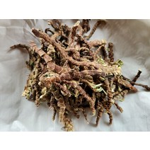 지리산 약초 석창포 200g 차 국내산 자연산 건조 말린