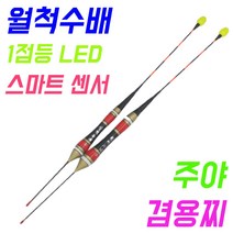 역대급 SZ몰 월척수배 1점등 led 센서, 2호