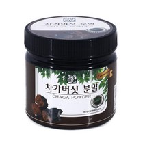 [메가마트]건강의벗 차가버섯 분말 100g, 1개