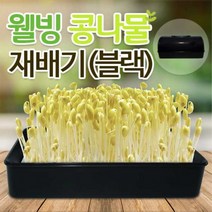 웰빙콩나물새싹재배기_블랙0389