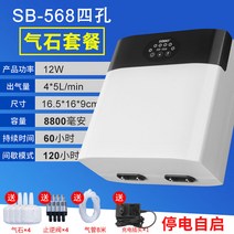 해외 양어 산소 펌프 어항 초정음 양어 산소 공급기 교직류 충전 산소 펌프 리튬전지-42417, 단일옵션