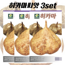 히카마씨앗 3set, 3개