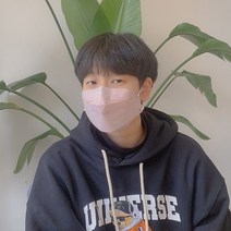 에코엠 한지마스크 3D 입체형 L사이즈 5색/25개입(크림+핑크+블루+연그린+그레이) 새부리형 일회용 1회용 국산 친환경 에코 스노우핏, 크림+핑크+블루+연그린+그레이, 5색상25매입