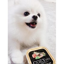 피로회복 혈액순환 습식간식 치킨캔 90g 6개 강아지통조림 펫만찬 강아지캔간식
