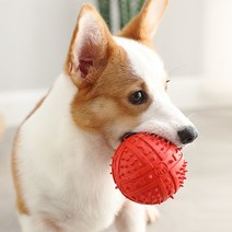 공 이갈이장난감 대형견공 운동기구, 1개, 빨강