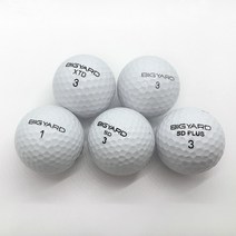 빅야드 화이트 2피스 3피스 A-급 로스트볼 10알 비재생 순수 물세척 창고 골프로스트볼