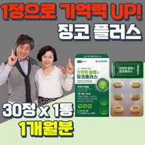 나이아신 판토텐산 면역 아연 은행잎추출물 징코 부모님 어르신 노년층 기억력 인지력 개선 두뇌 뇌 혈관 건강 식품 수능 선물 청소년 고시생 기억력 집중력 좋아지는법 GINKGO