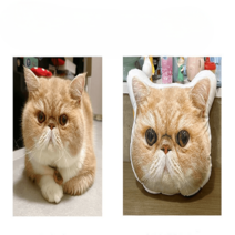 반려동물 고양이 강아지 쿠션 주문제작 DIY 사진 리얼 애니메이션 피규어 선물 인형, 고화질 양면