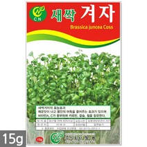 새싹 재배기 세트 - 새싹재배기 새싹씨앗 재배 용기 통 키트 새싹씨앗 보리 브로콜리 케일 청경채 보리씨앗 보리새싹씨앗 새싹보리 보리씨