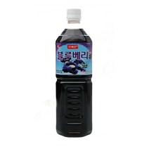 보전 모메존 블루베리 희석음료 1200g 5배 희석용 과채음료