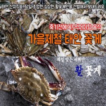 서해 태안 신진도 활꽃게 생물 꽃게 특품 꼭 먹어야할 가을 제철음식 산지직송 1kg 2kg 3kg, 1kg(4미내외)