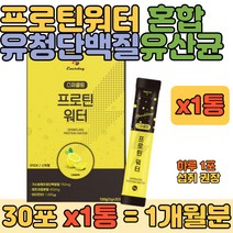 가수분해 유청 단백질 프락토올리고당 혼합 유산균 스틱 마시는 프로틴 영양 보충제 음식 20대 30대 40대 여자 여성 남자 남성 보조제 추천