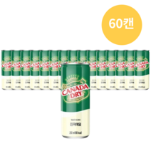 칵테일에 섞어마시는 캐나다드라이 진저에일 250ml [60개]